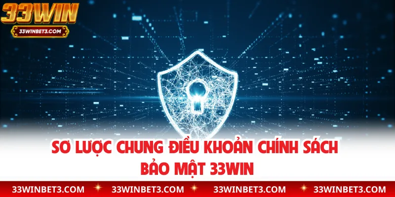 Sơ lược chung điều khoản chính sách bảo mật 33WIN